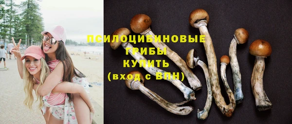 гидропоника Балахна