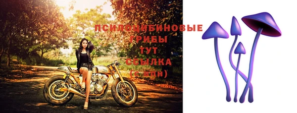метадон Снежногорск